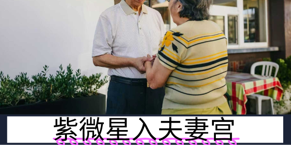 紫微星入夫妻宫：势均力敌的伴侣关系