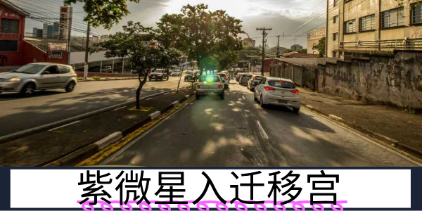 紫微星入迁移宫：外出遇贵的佼佼者