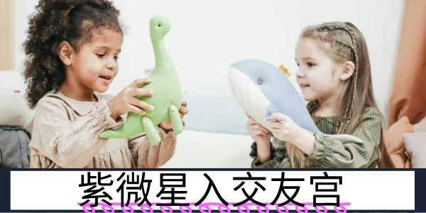 紫微星入交友宫：圈层高端的领导者