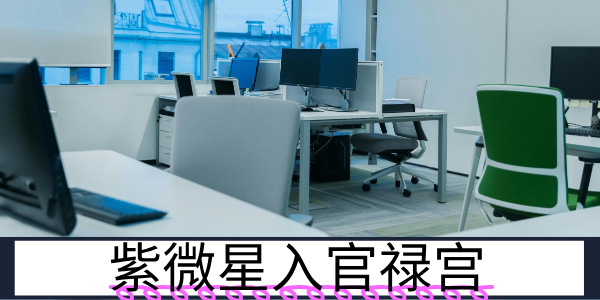 紫微星入官禄宫：追求高位的事业者