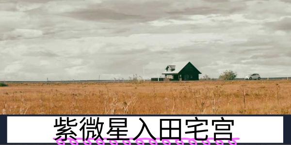 紫微星入田宅宫：偏爱阔绰的不动产持有者