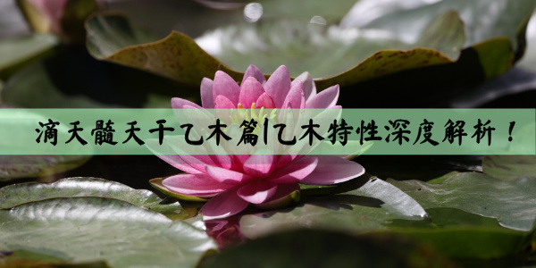 滴天髓天干乙木篇|乙木特性深度解析！