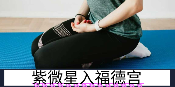 紫微星入福德宫：追求高阶的享受者