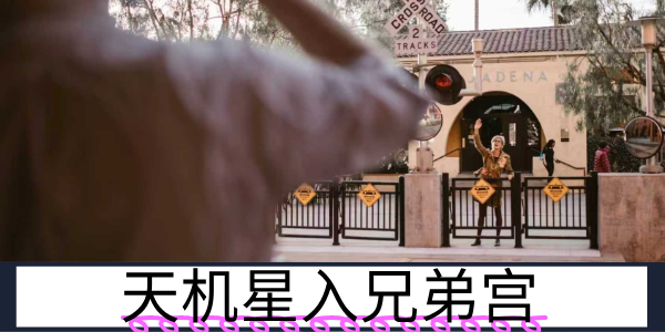 天机星入兄弟宫：聪慧疏离的手足