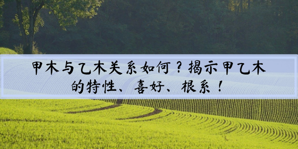 甲木与乙木关系如何？揭示甲乙木的特性、喜好、根系！