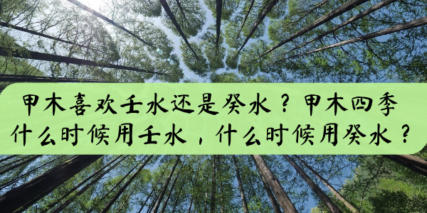 甲木喜欢壬水还是癸水？甲木四季什么时候用壬水，什么时候用癸水？