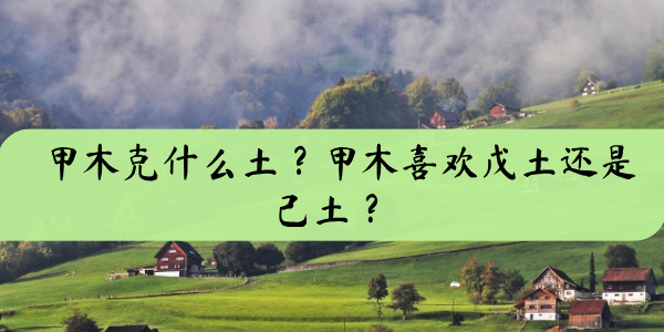 甲木克什么土？甲木喜欢戊土还是己土？