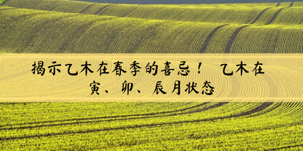 揭示乙木在春季的喜忌！乙木在寅、卯、辰月状态