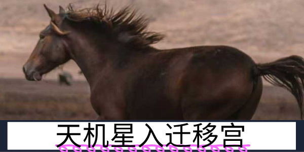 天机星入迁移宫：灵动善变的远行者