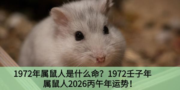 1972年属鼠人是什么命？1972壬子年属鼠人2026丙午年运势！