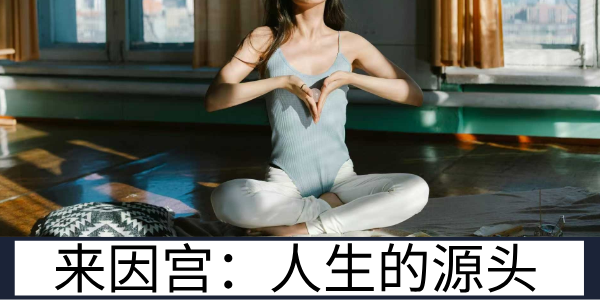 来因宫：人的一生的源头所在，因果的显现