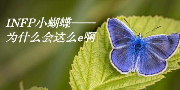 INFP小蝴蝶——为什么会这么e啊