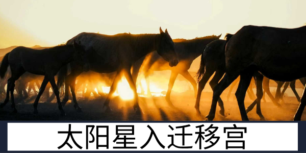 太阳星入迁移宫：热情开朗的异乡者