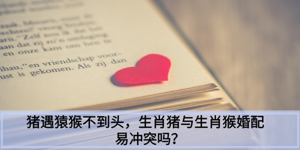 猪遇猿猴不到头，生肖猪与生肖猴婚配易冲突吗？