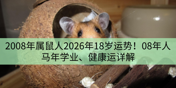 2008戊子年生肖鼠，2026年学业、荣誉、感情、健康全面解析！