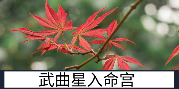 武曲星入命宫：刚毅务实的实干家