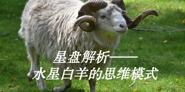 星盘解析——水星白羊的思维模式