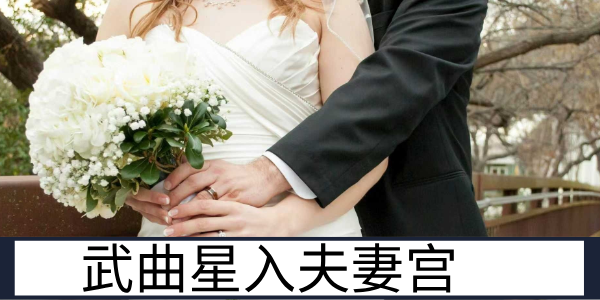 武曲星入夫妻宫：务实少情的伴侣关系