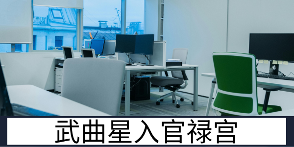 武曲星入官禄宫：执行力强的职场管理者