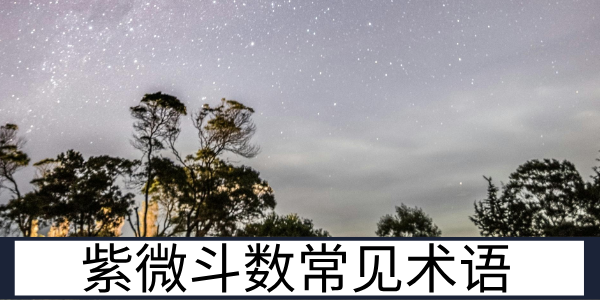 紫微斗数常见术语基础解析