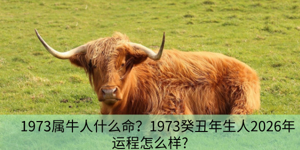 1973属牛人什么命？1973癸丑年生人2026年运程怎么样?