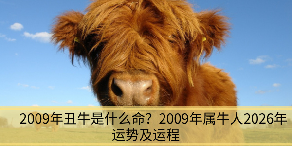 2009年丑牛是什么命？2009年属牛人2026年运势及运程