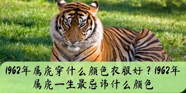 1962年属虎穿什么颜色衣服好？1962年属虎一生最忌讳什么颜色