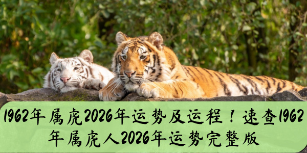 1962年属虎2026年运势及运程！速查1962年属虎人2026年运势完整版