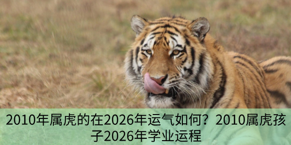 2010年属虎的在2026年运气如何？2010属虎孩2026年学业运程