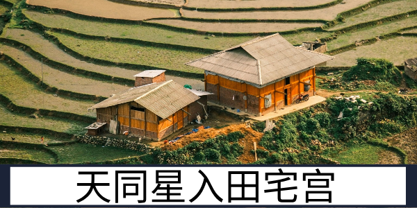 天同星入田宅宫：稳步积累的家业运