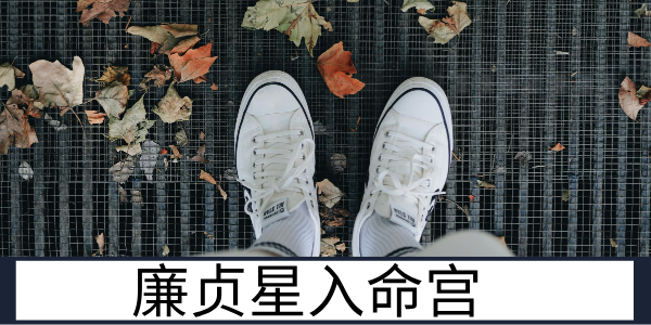 廉贞星入命宫：刚柔并存的复杂体