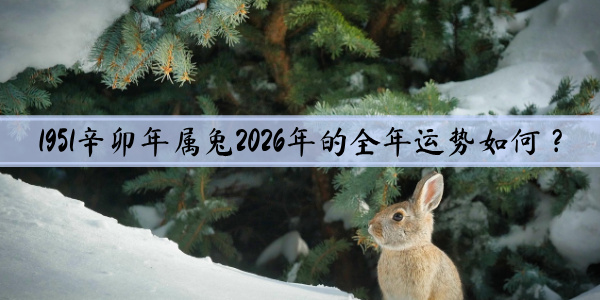 1951属兔2026年的全年运势如何？