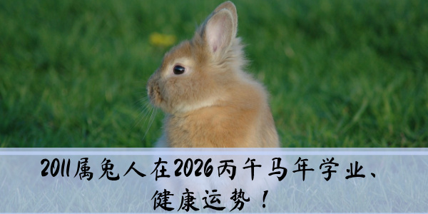 2011属兔人在2026丙午马年学业、健康运势！