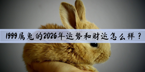 1999属兔的2026年运势和财运怎么样？