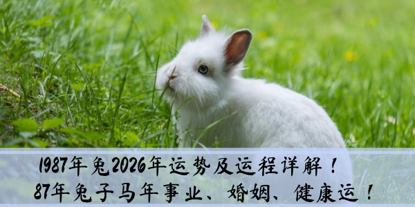 1987年兔2026年运势及运程详解！87年兔子马年事业、婚姻、健康运！