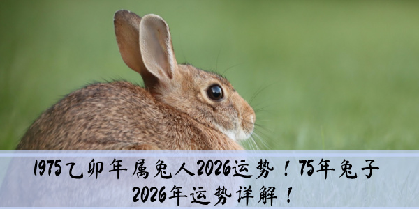 1975乙卯年属兔人2026运势！75年兔子2026年运势详解！
