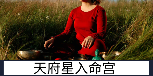 天府星入命宫：稳重守成的掌舵人