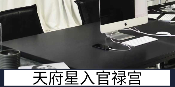 天府星入官禄宫：守成有余的事业运