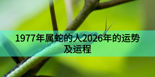 1977年属蛇的人2026年的运势及运程