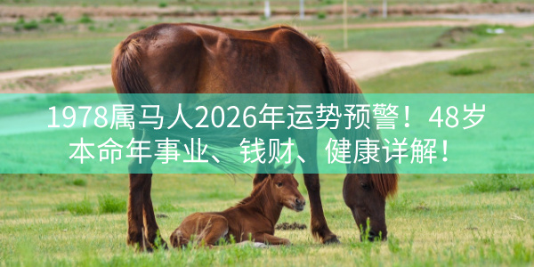 1978属马人2026年运势预警！48岁本命年事业、钱财、健康详解！