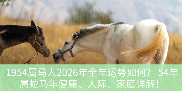 1954属马人2026年全年运势如何？54年属蛇马年健康、人际、家庭详解！