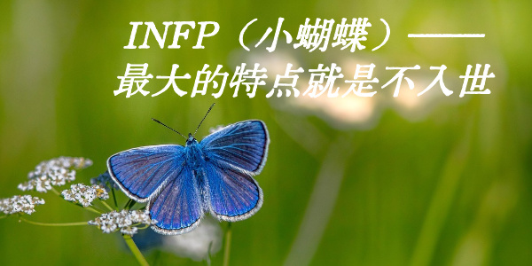 INFP（小蝴蝶）&mdash;&mdash;最大的特点就是不入世