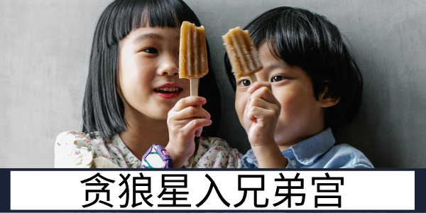 贪狼星入兄弟宫：利益交织的手足情