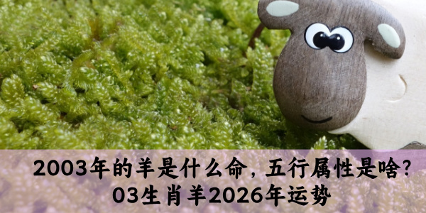 2003年的羊是什么命，五行属性是啥？03生肖羊2026年运势