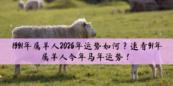 1991年属羊人2026年运势如何？速看91年属羊人今年马年运势！
