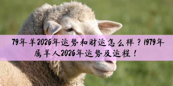 79年羊2026年运势和财运怎么样？1979年属羊人2026年运势及运程！