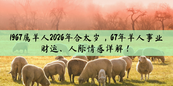 1967属羊人2026年合太岁，67年羊人事业财运、人际情感详解！