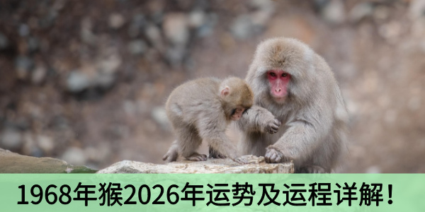 1968年猴2026年运势及运程详解！