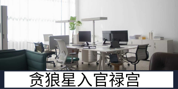 贪狼星入官禄宫：多才多能的灵活从业者