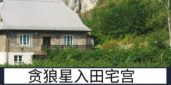 贪狼星入田宅宫：热闹多变的家业运